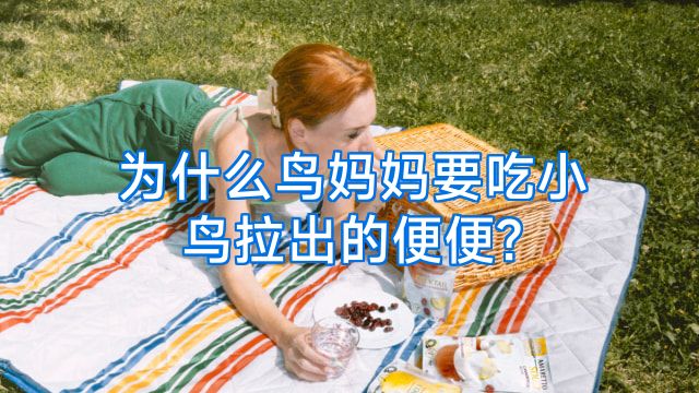 为什么鸟妈妈要吃小鸟拉出的便便?