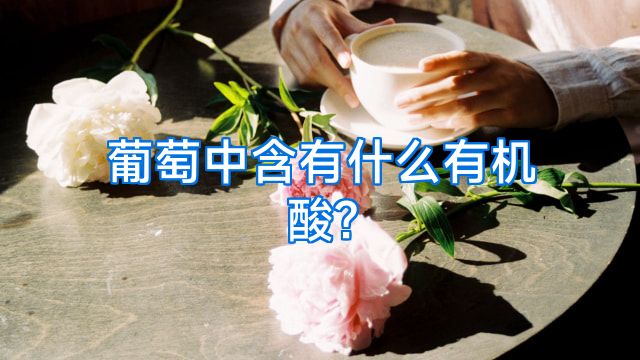 葡萄中含有什么有机酸?