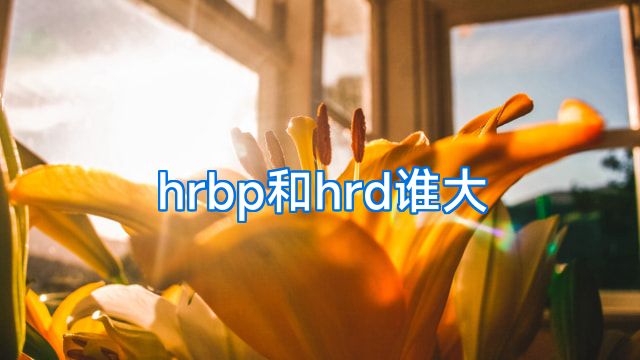 hrbp和hrd谁大