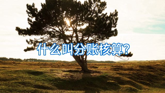 什么叫分账核算?