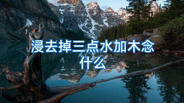 浸去掉三点水加木念什么