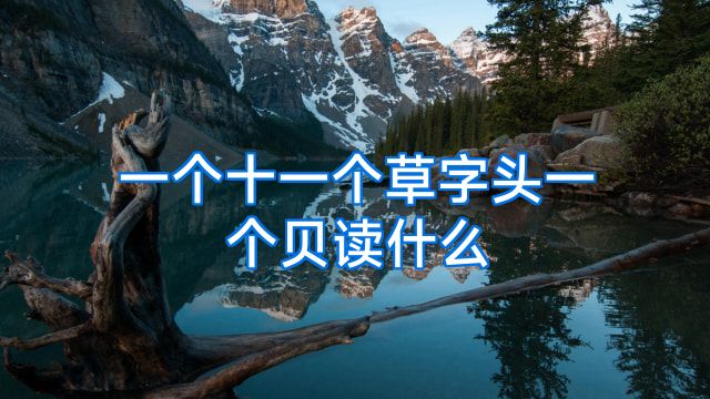 一个十一个草字头一个贝读什么