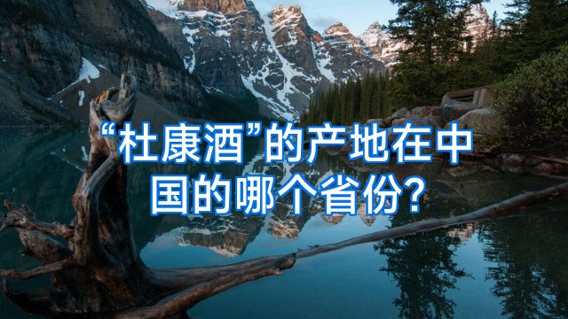 “杜康酒”的产地在中国的哪个省份?