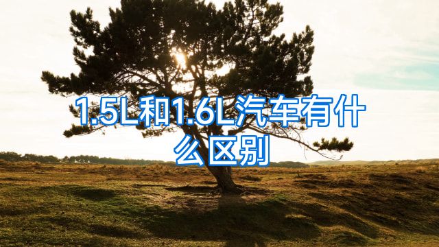 1.5L和1.6L汽车有什么区别