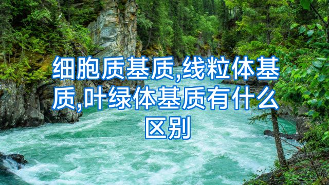 细胞质基质,线粒体基质,叶绿体基质有什么区别