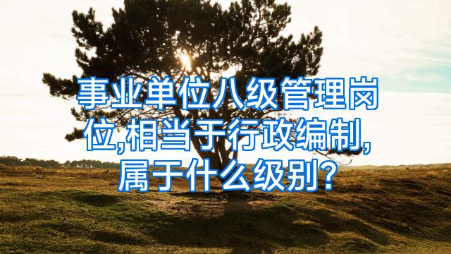 事业单位八级管理岗位,相当于行政编制,属于什么级别?