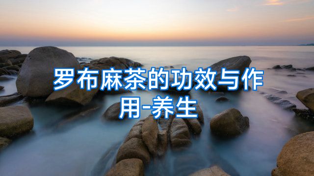 罗布麻茶的功效与作用-养生