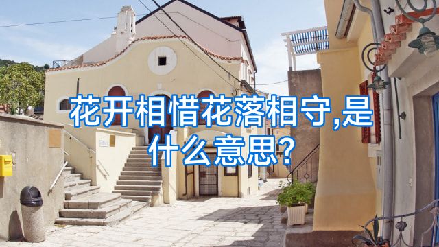 花开相惜花落相守,是什么意思?