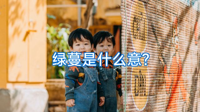 绿蔓是什么意?