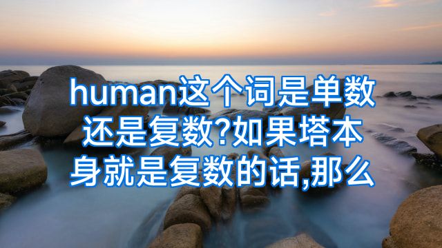 human这个词是单数还是复数?如果塔本身就是复数的话,那么