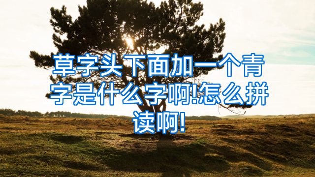 草字头下面加一个青字是什么字啊!怎么拼读啊!