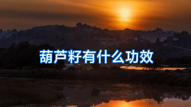 葫芦籽有什么功效