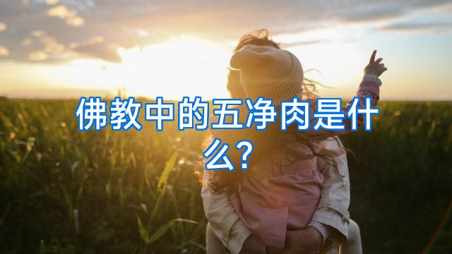 佛教中的五净肉是什么?