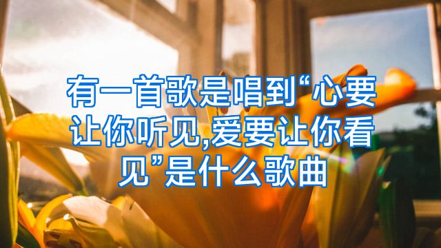 有一首歌是唱到“心要让你听见,爱要让你看见”是什么歌曲