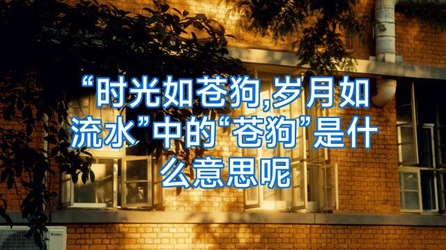 “时光如苍狗,岁月如流水”中的“苍狗”是什么意思呢