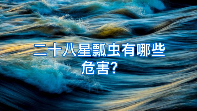 二十八星瓢虫有哪些危害?