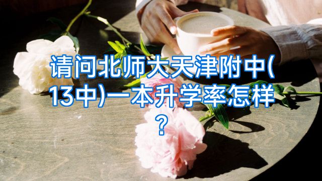 请问北师大天津附中(13中)一本升学率怎样?