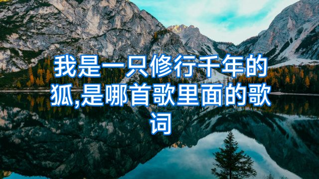 我是一只修行千年的狐,是哪首歌里面的歌词