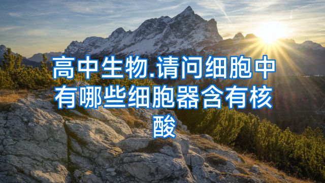 高中生物.请问细胞中有哪些细胞器含有核酸
