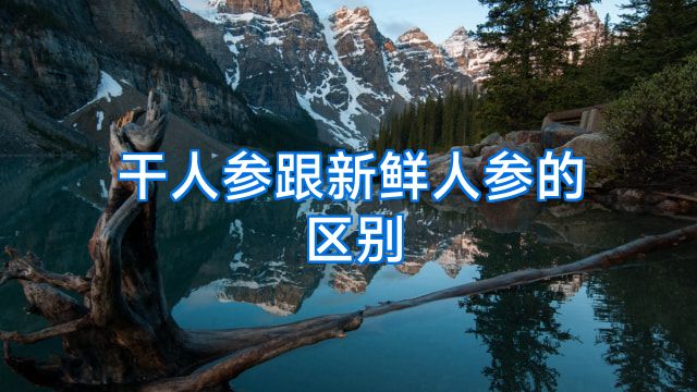 干人参跟新鲜人参的区别