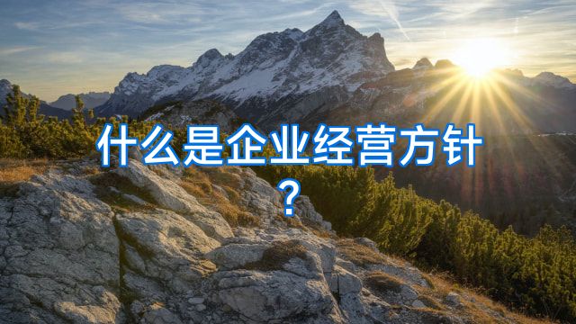 什么是企业经营方针?