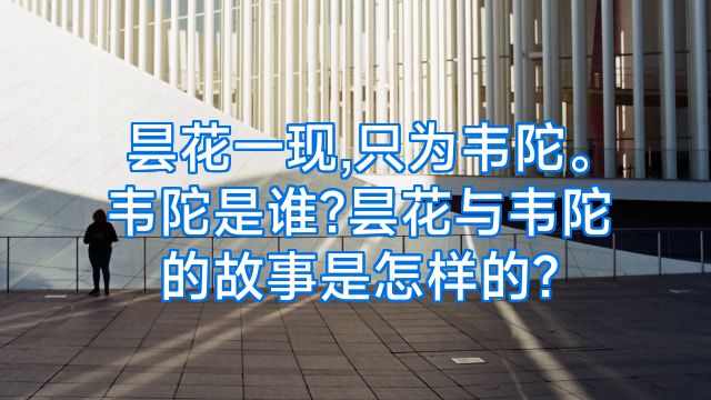 昙花一现,只为韦陀。韦陀是谁?昙花与韦陀的故事是怎样的?