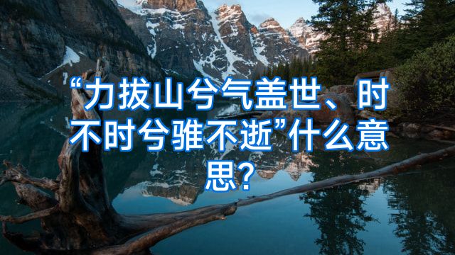 “力拔山兮气盖世、时不时兮骓不逝”什么意思?