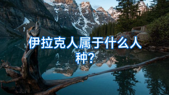 伊拉克人属于什么人种?