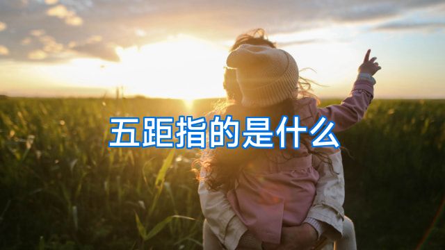 五距指的是什么