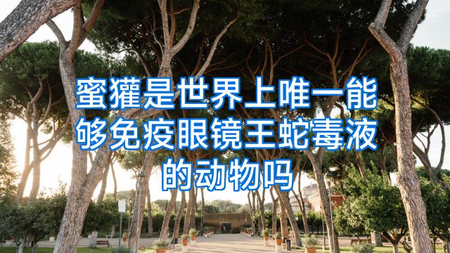 蜜獾是世界上唯一能够免疫眼镜王蛇毒液的动物吗