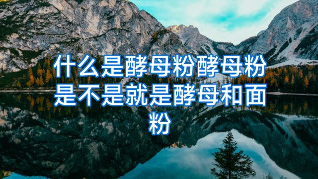 什么是酵母粉酵母粉是不是就是酵母和面粉