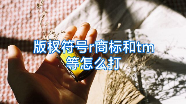 版权符号r商标和tm等怎么打