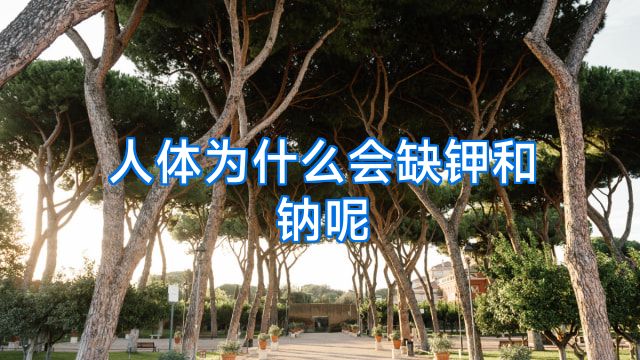 人体为什么会缺钾和钠呢