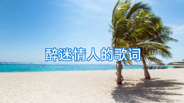 醉迷情人的歌词