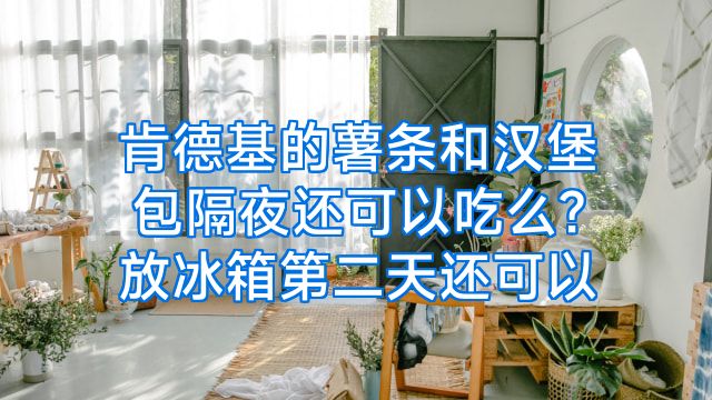 肯德基的薯条和汉堡包隔夜还可以吃么?放冰箱第二天还可以