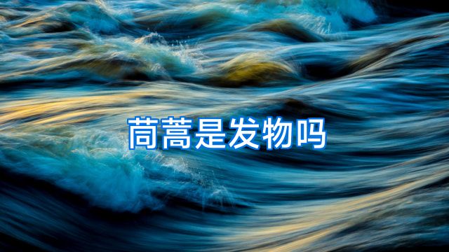 茼蒿是发物吗