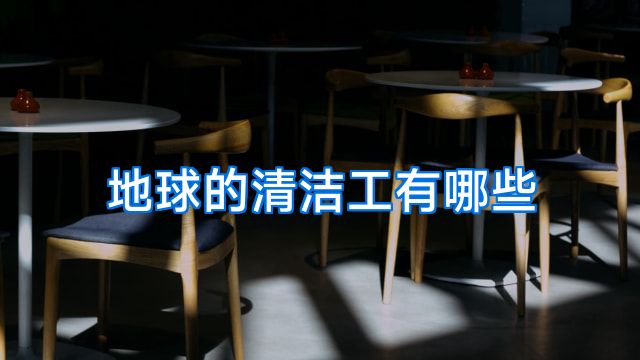 地球的清洁工有哪些