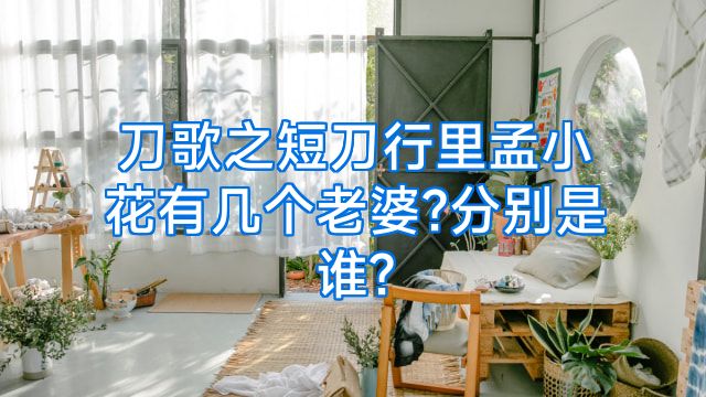 刀歌之短刀行里孟小花有几个老婆?分别是谁?