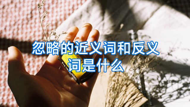 忽略的近义词和反义词是什么