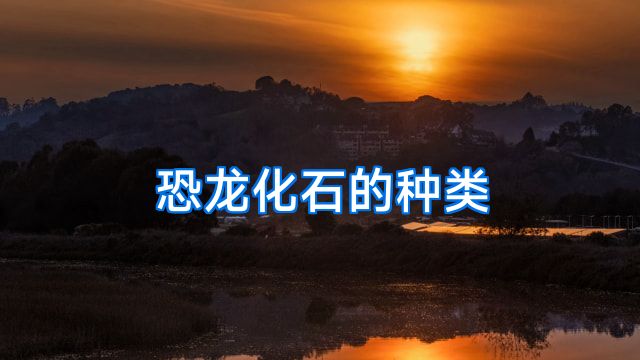 恐龙化石的种类