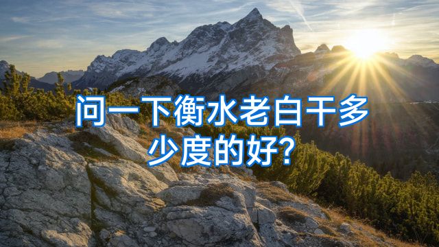 问一下衡水老白干多少度的好?