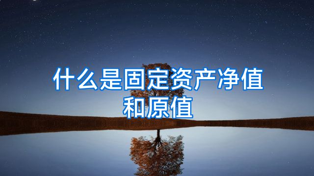 什么是固定资产净值和原值