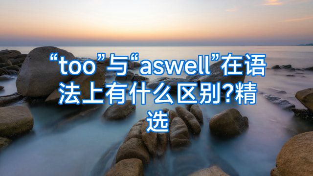 “too”与“aswell”在语法上有什么区别?精选