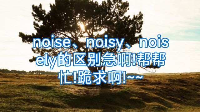 noise、noisy、noisely的区别急啊!帮帮忙!跪求啊!~~