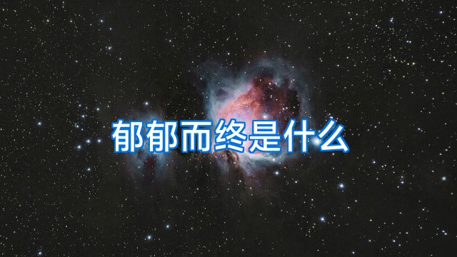 郁郁而终是什么