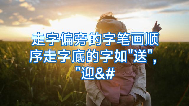 走字偏旁的字笔画顺序走字底的字如