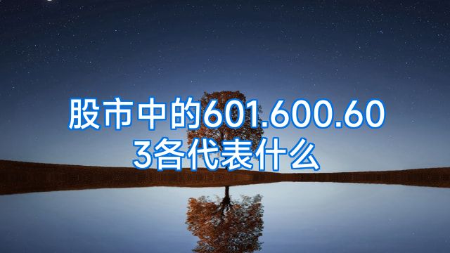 股市中的601.600.603各代表什么