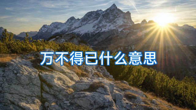 万不得已什么意思