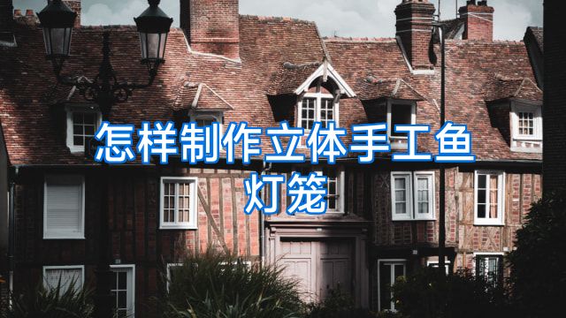 怎样制作立体手工鱼灯笼