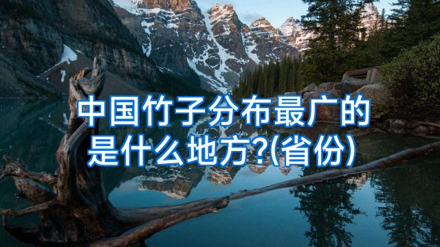 中国竹子分布最广的是什么地方?(省份)